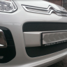 Защита радиатора "Standart" Citroen C3 Picasso (2012-2016) чёрная купить недорого с доставкой в Надым