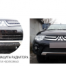 Защита радиатора "Standart" Citroen C4 седан (2013-2016) чёрная купить недорого с доставкой в Надым